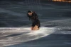 Miki Ando