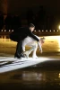 Tatiana Volosozhar & Maxim Trankov