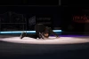 Stéphane Lambiel "My Body Is A Cage"